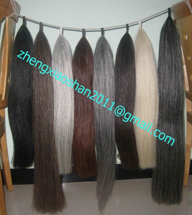 Horse tail extensions