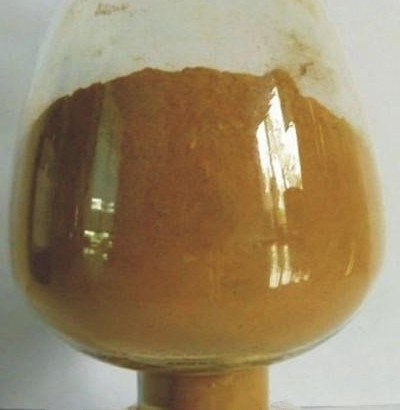 High Quality Yucca Extract  10% 30% 50%