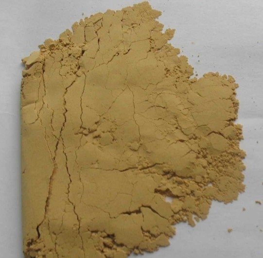 High Quality Yucca Extract  50% 