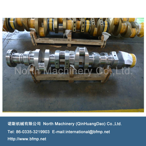 Crankshaft of diesel engine 