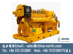 1000kw-3000kw large power natural gas generator