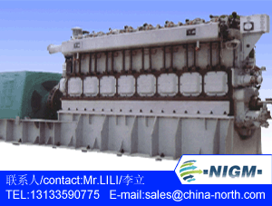 100kw-1200kw Biomass Gas Generator