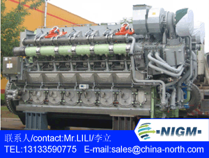 China 1000kw-4000kw Large Power Natural Gas Genera