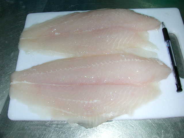 Frozen Pangasius Fillet