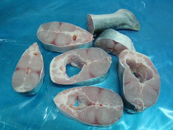 Frozen Pangasius Steak