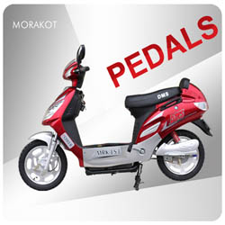 Europe 48V250W Top Rated CE pedals assisted electric scooter--LS1