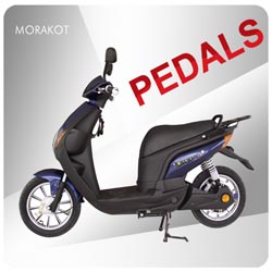 Europe 250W 48V 32km/h Luxury& Comfortable Electric Scooter / bike --LS1-4