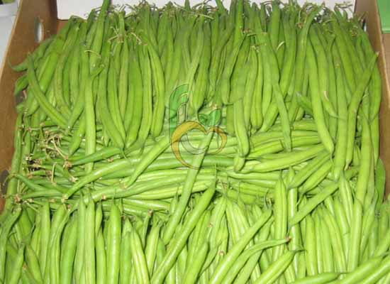 Fresh Green Beans