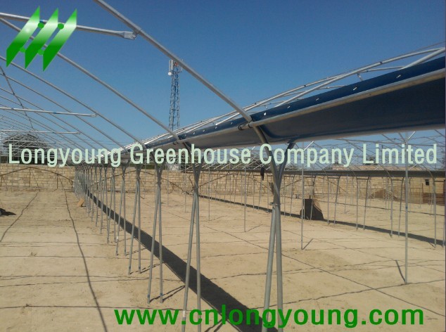 Tunnel-Connected Greenhouse from longyoung greenho