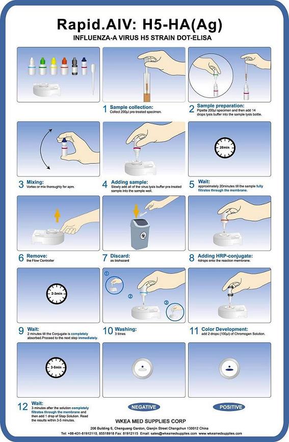 H5-HA(Ag) rapid test kit