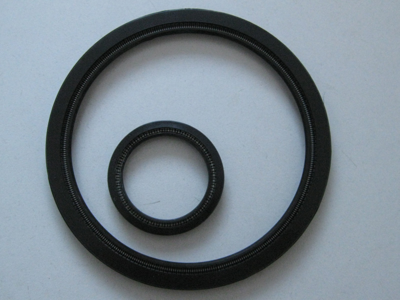 Rubber spring