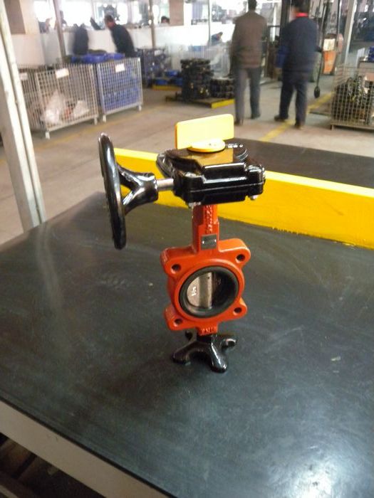 Center line wafter type butterfly valve