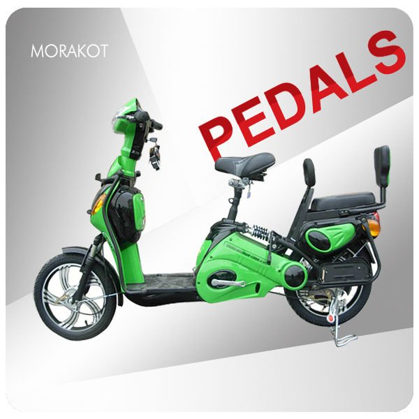 350W electric bike/bicycle with double seat--LS5-4