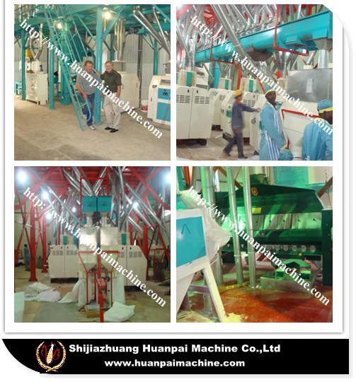 flour production line of wheat/maize