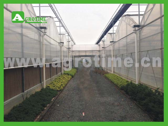 CBMgreenhouse