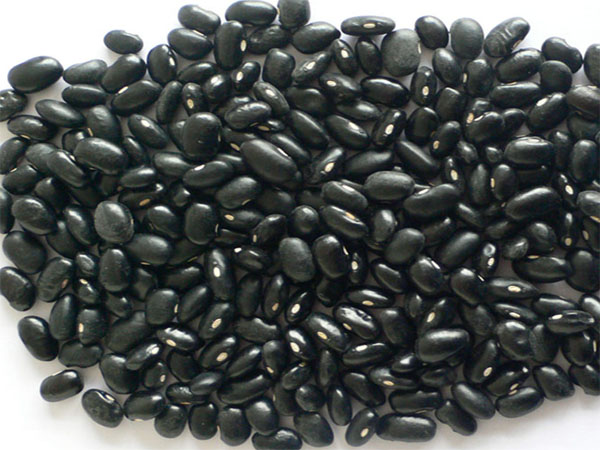 Black Kidney Beans (with White Kernels)