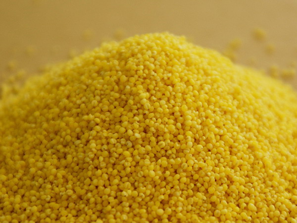 Yellow Millet Groats for Human Consumption
