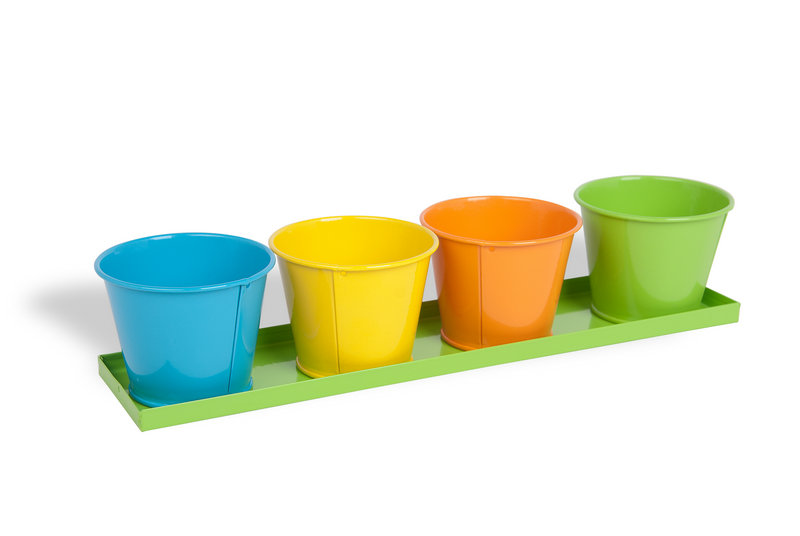 Set of 4 Mini Flower Pots wih Tray