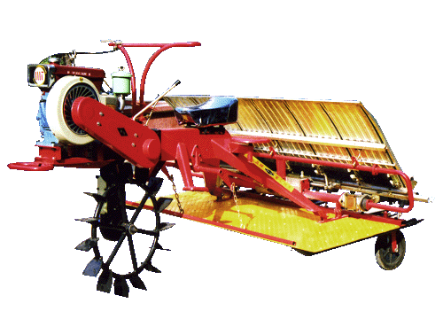 Paddy Transplant Rice Seedling Machine