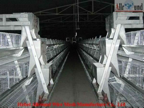 laying hens cage for poultry 