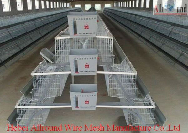 farm cages design laying hens 