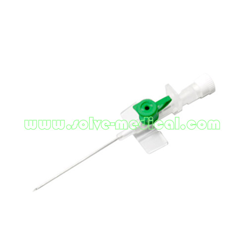 IV Catheter with injection port