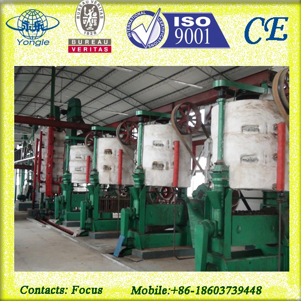 Sunflower vegetable oil press machine