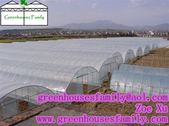 Plastic High Tunnel Greenhouses GS625S