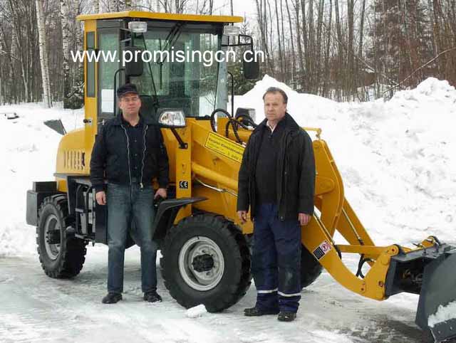 Small Wheel Loader