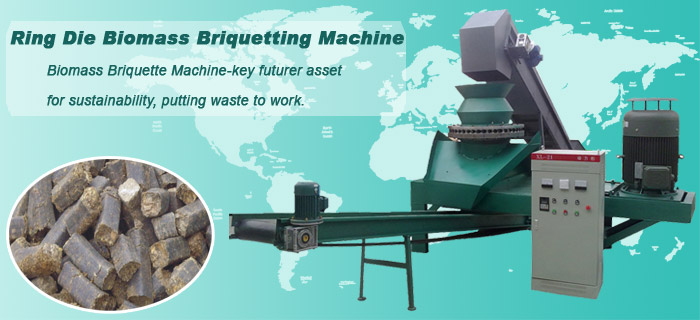 Ring Die Biomass Briquetting Machine