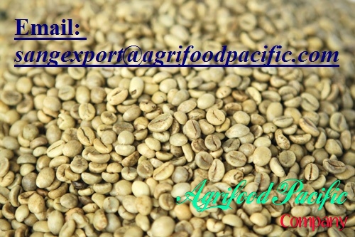 VIETNAM ROBUSTA COFFEE S13, S16, S18