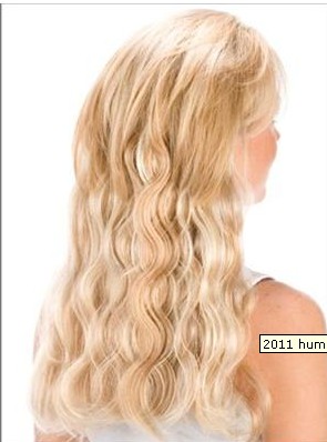 2013Human hair hair weft