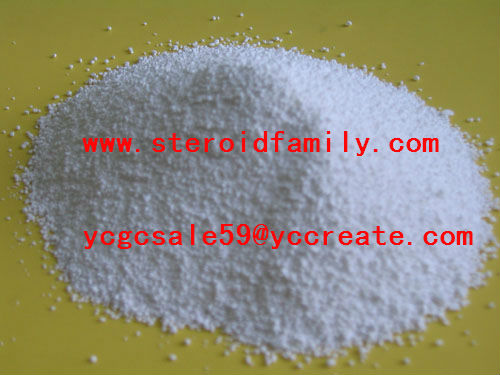 17a-Methyl-1-testosterone 65-04-3