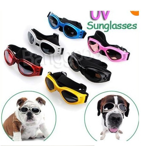 Eye protection UV Dog Sung lasses