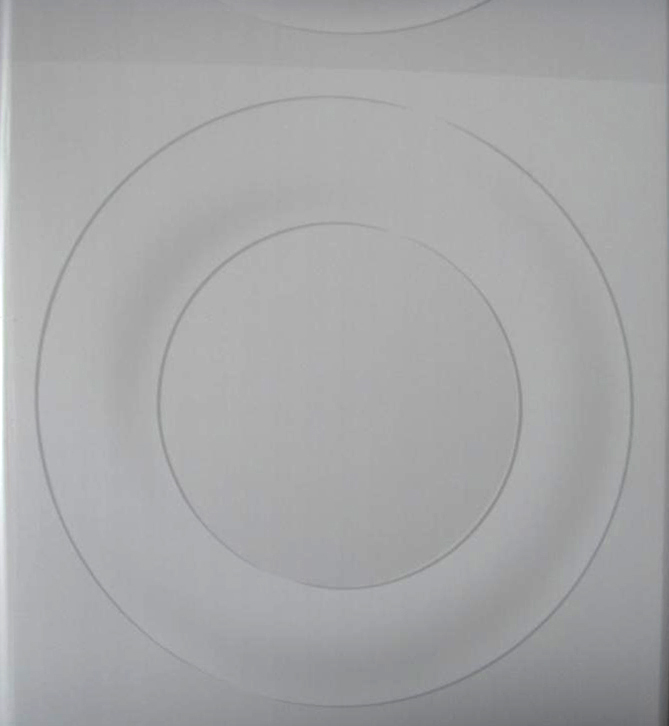 pvc ceiling for home decorative