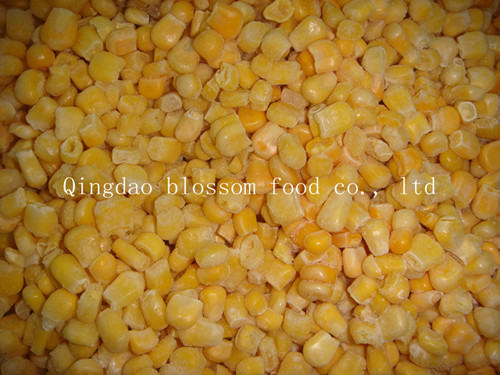 IQF Frozen Sweet Corn