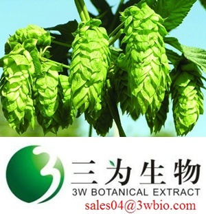 xanthohumol  /Hop Flower Extrat