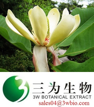 magnolol /honokiol /Magnolia Bark Extract