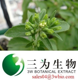 Stevioside/ Stevia Extract 