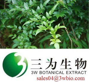 Dihydromyricetin /Vine Tea Extract