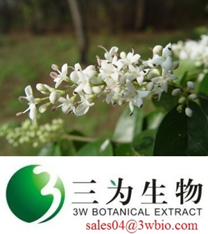 Oleanolic acid/ Lisgustrum luncidum Extract