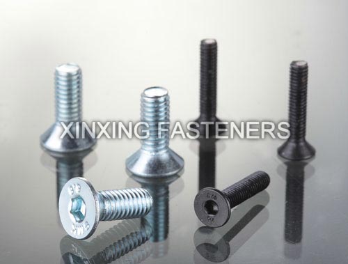 Hexagon Socket Countersunk Head Cap Screw