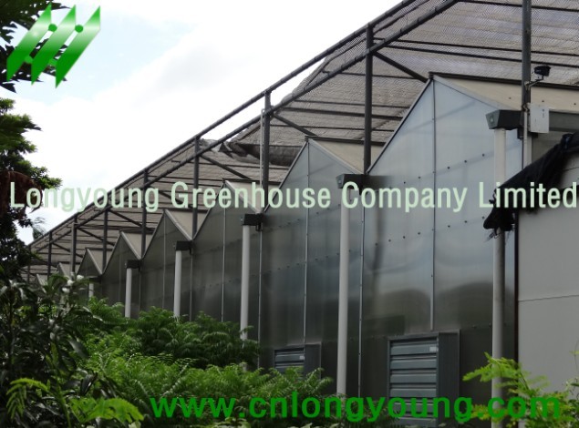 Polycarbonate Greenhouse