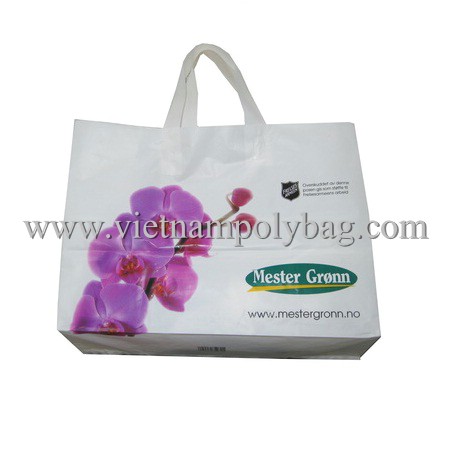 Flexiloop handle bag - www.vietnampolybag.com