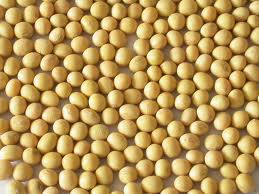 Vietnam soya bean good price