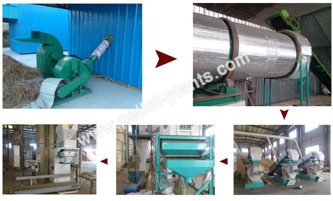 Complete Wood Pellet Plant