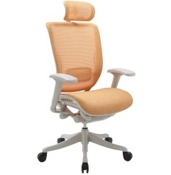 Office Ergonomic Mesh Chair With Headrest