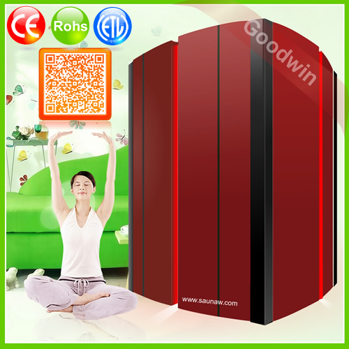 2 person dry Sauna Room Sauna spa capsule