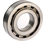 Cylindrical Roller Bearing