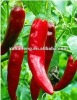 Capsaicin (Capsicum Snnum)40%,70%